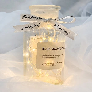 LED Fairy Lights – Διακοσμητική Σειρά με Θερμό Φωτισμό (Warm White)